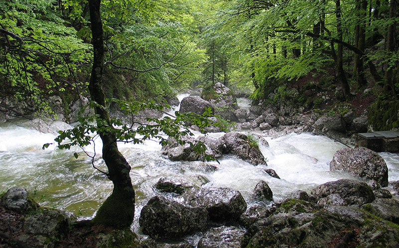 delo blogpost miscelatore termostatico - ambiente incontaminato